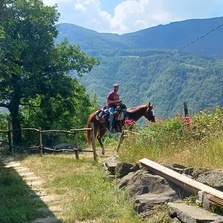 Ca Del White Den * Фанано